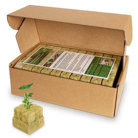 Jowlawn rockwool cubes 200 plugs pack for seed starting and transplant readiness.