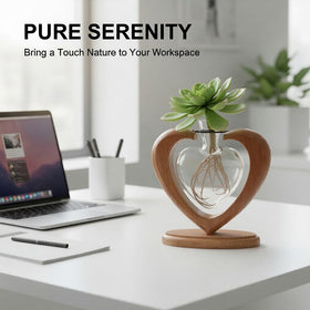 Joyathome borosilicate glass vase offers durability and clear viewing of roots.