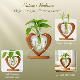 Joyathome hydroponic propagation station suitable for pothos, ivy, and herbs.