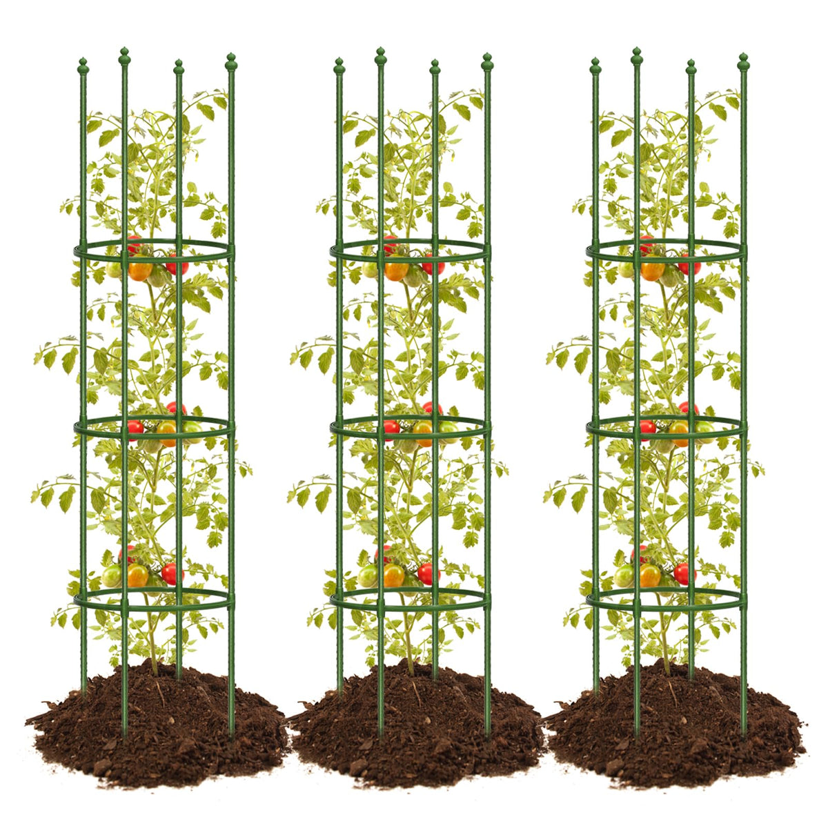 JoyHalo 3pack tomato cages ready for garden installation, delivering sturdy plant support.