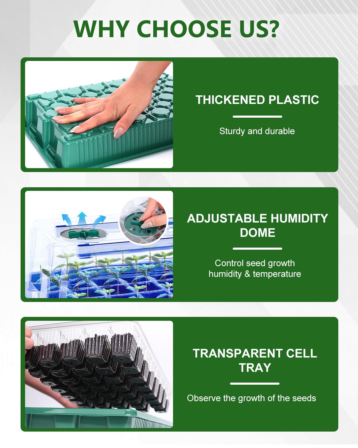 JoyHalo clear seed tray shows soil condition with drainage holes