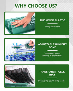 JoyHalo clear seed tray shows soil condition with drainage holes