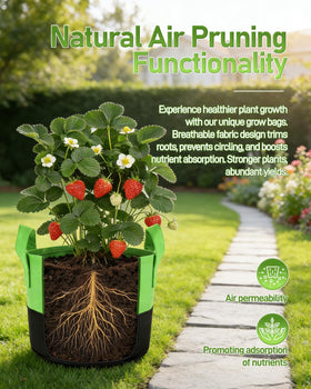 JOYHALO Grow Bag air-pruning boosts root development and prevents circling.