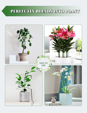 Joyhalo lilies and zinnia stake keeps stems secure outdoors