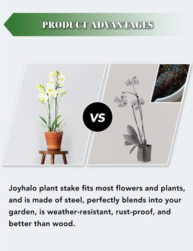 Joyhalo orchid stake supports Phalaenopsis without damage