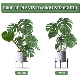 Joyhalo peony cage assembly shows sturdy garden support for blooms.