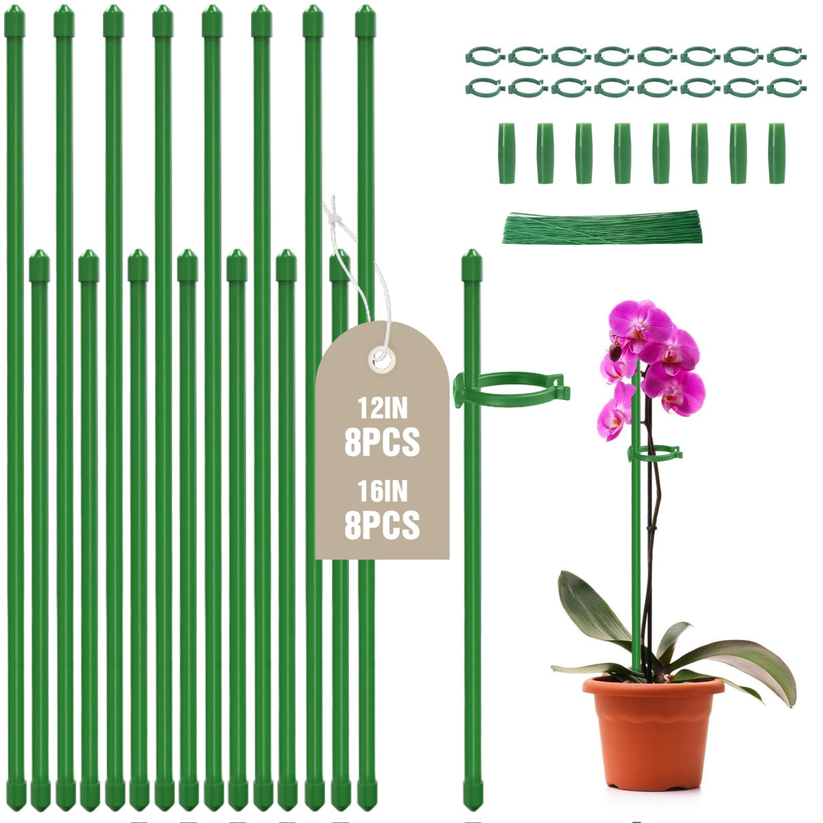 Joyhalo 12-inch plant stake provides sturdy support for tall indoor plants.