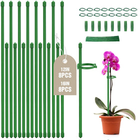 Joyhalo 12-inch plant stake provides sturdy support for tall indoor plants.