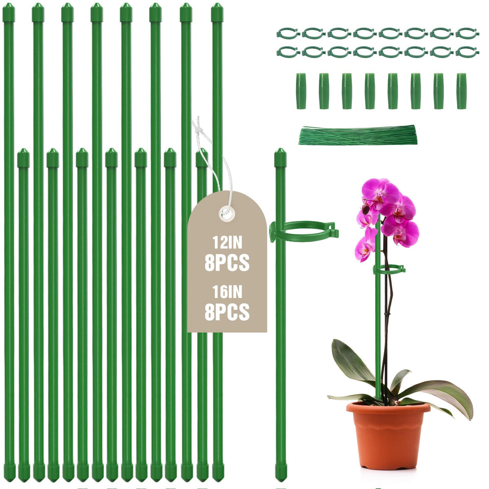 Joyhalo 12-inch plant stake provides sturdy support for tall indoor plants.