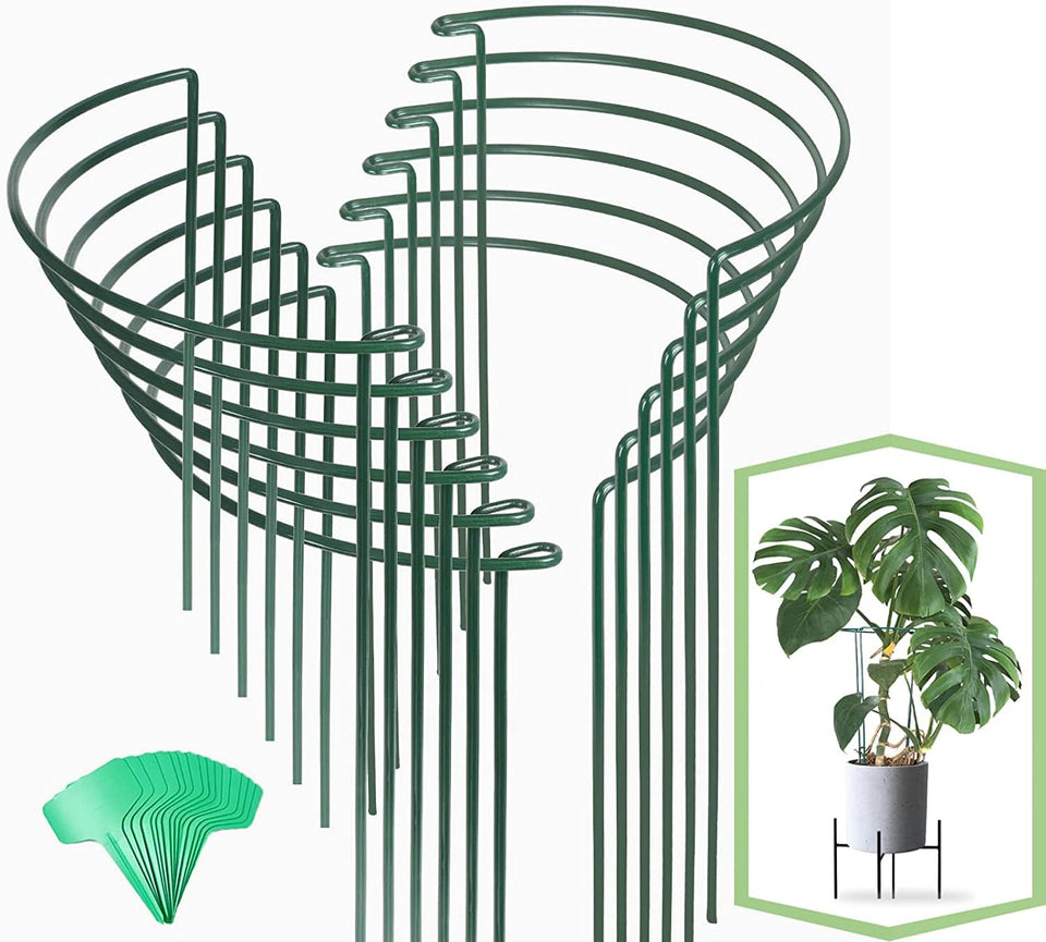 Joyhalo 16 inch plant stake stabilizes stems in outdoor garden.