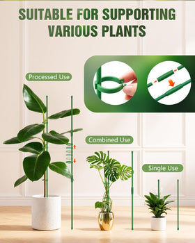 Joyhalo adjustable stake with connectors fits tall plants