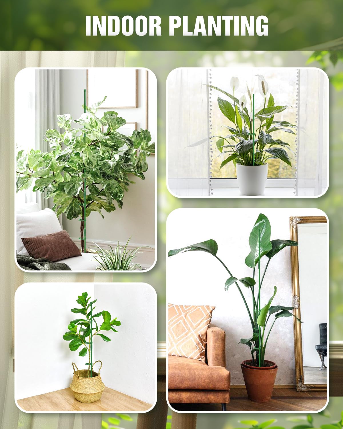 Joyhalo 20-pack helps keep plants upright