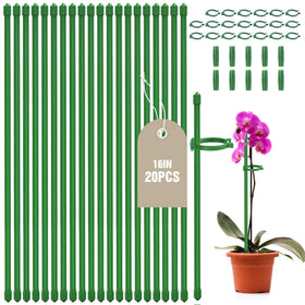 Joyhalo 16-inch tomato support stake ready for sturdy growth