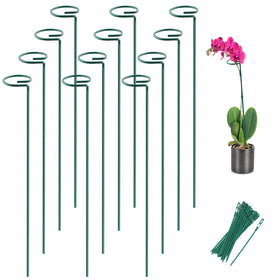 Joyhalo plant stakes with rings secure stems gently for healthy growth