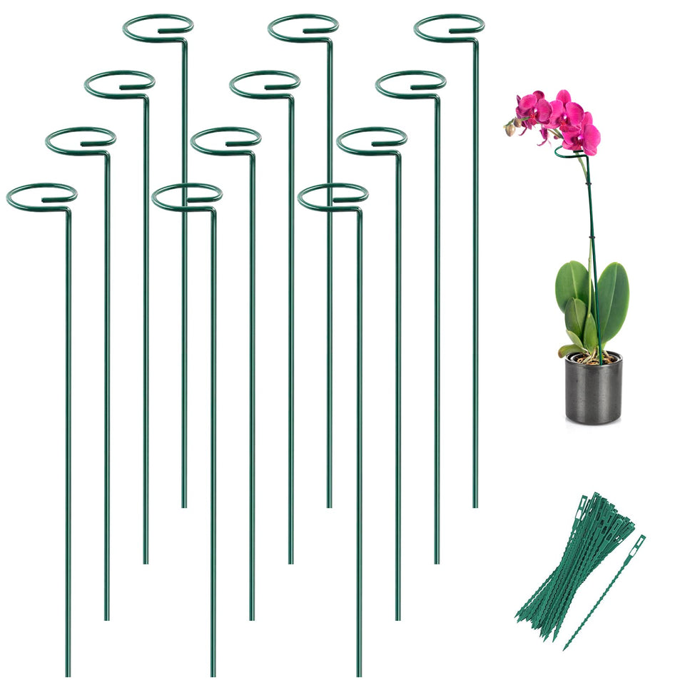 Joyhalo plant stakes with rings secure stems gently for healthy growth