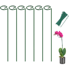 Joyhalo plant stake with ring design supporting delicate stems safely