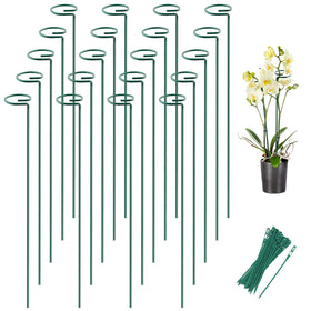 Joyhalo 24-inch plant stake with ring providing secure stem support
