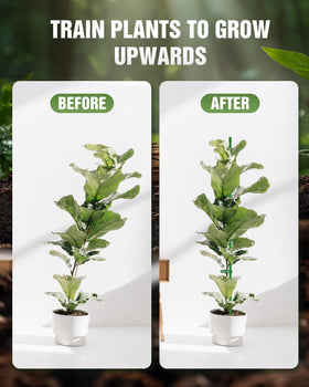 Joyhalo plant stake setup shows easy insertion and secure clips.