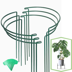 Joyhalo 16-inch plant support stakes keeping stems upright and strong.