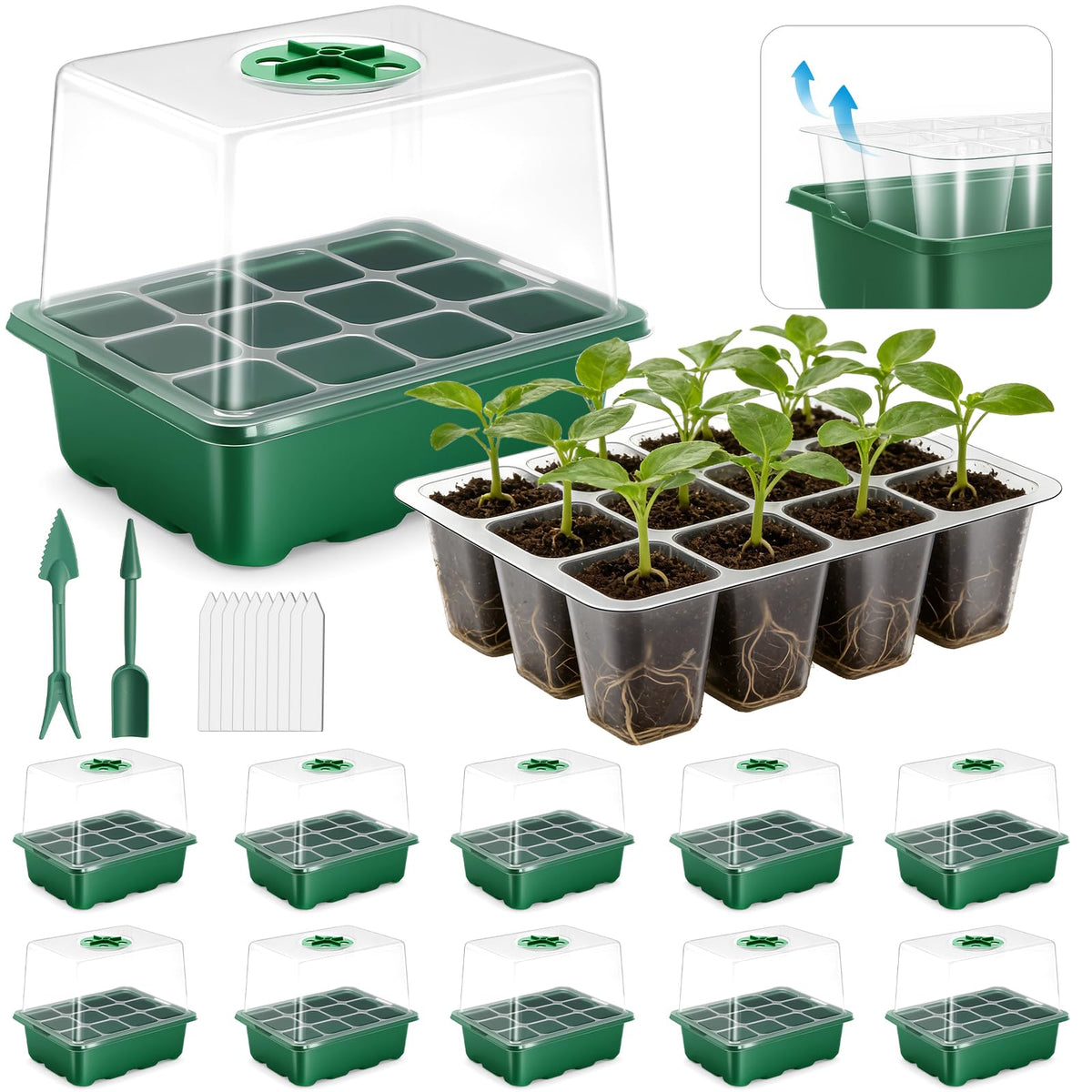 JoyHalo seed starter tray 120 cells enables larger seedlings