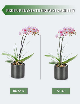 Joyhalo 16-inch stake keeps garden flowers upright and accessible