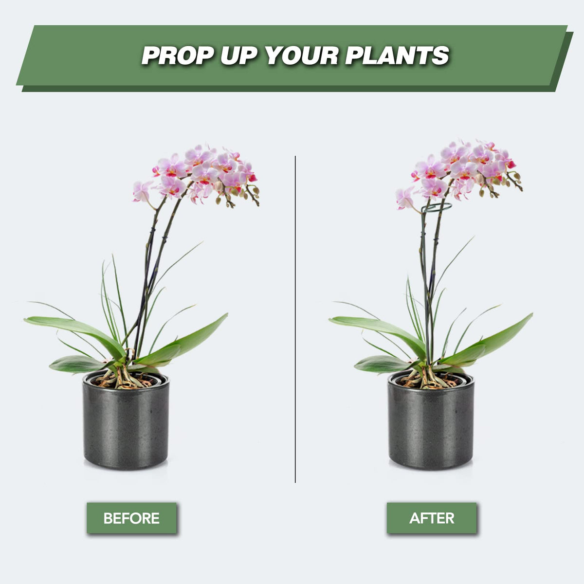 Joyhalo sturdy metal stake ready to guide plant growth