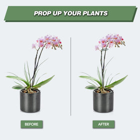 Joyhalo sturdy metal stake ready to guide plant growth