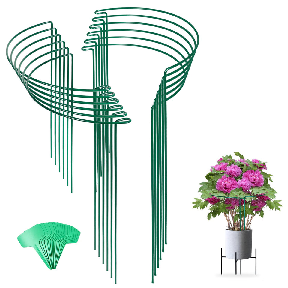 Joyhalo tall snake plant stake supports indoor plants for vertical growth and stability