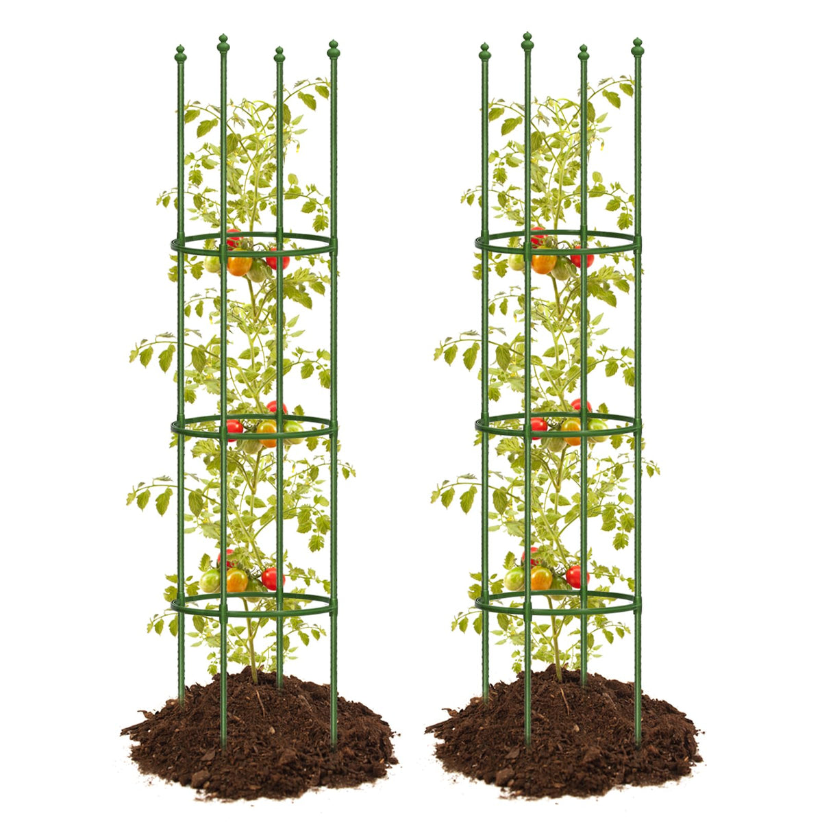 JoyHalo tomato cage demonstrates 59-inch height for tall plants.