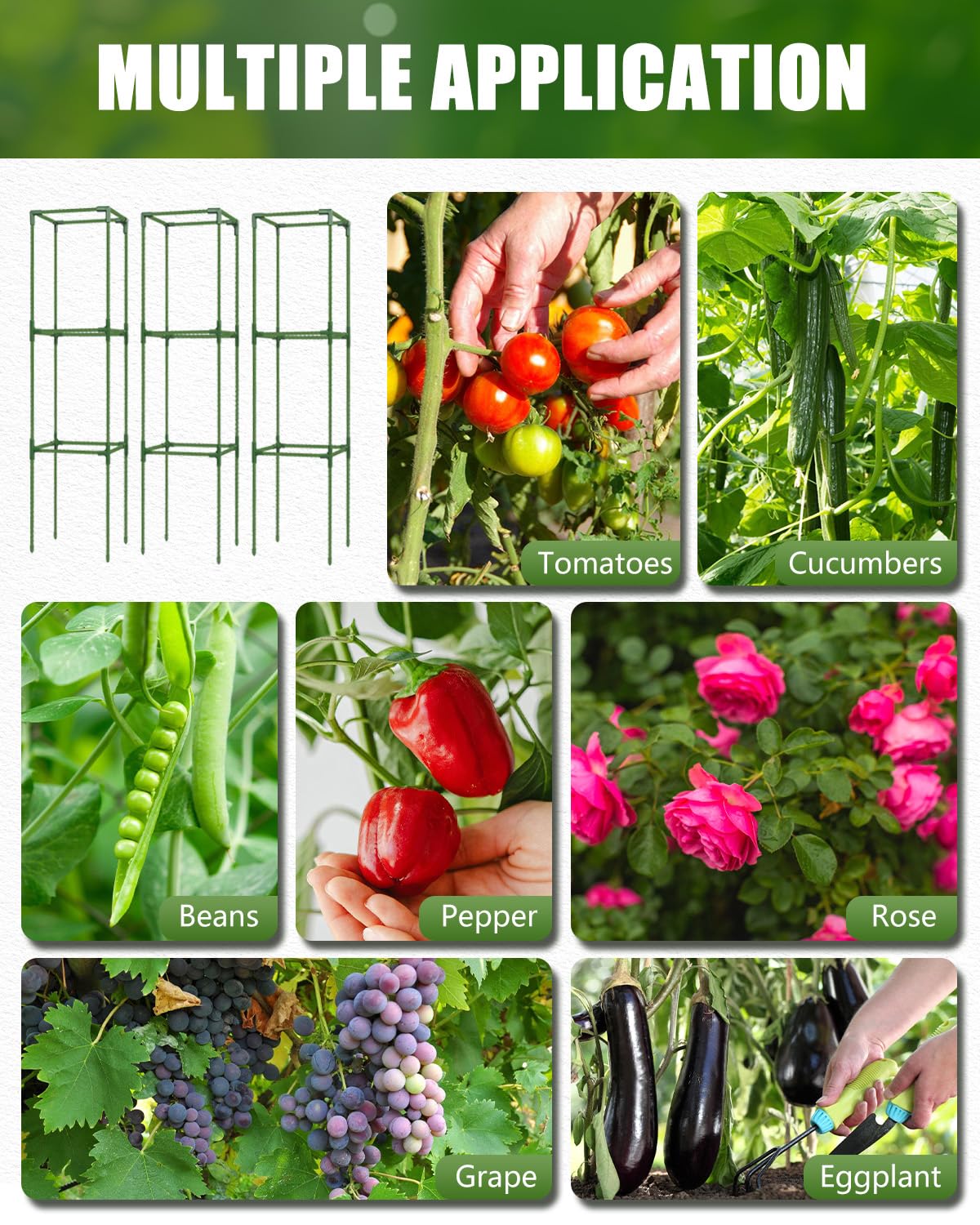 JoyHalo versatile cage supports tomatoes and beans in small spaces.
