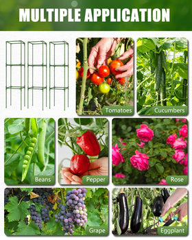 JoyHalo versatile cage supports tomatoes and beans in small spaces.
