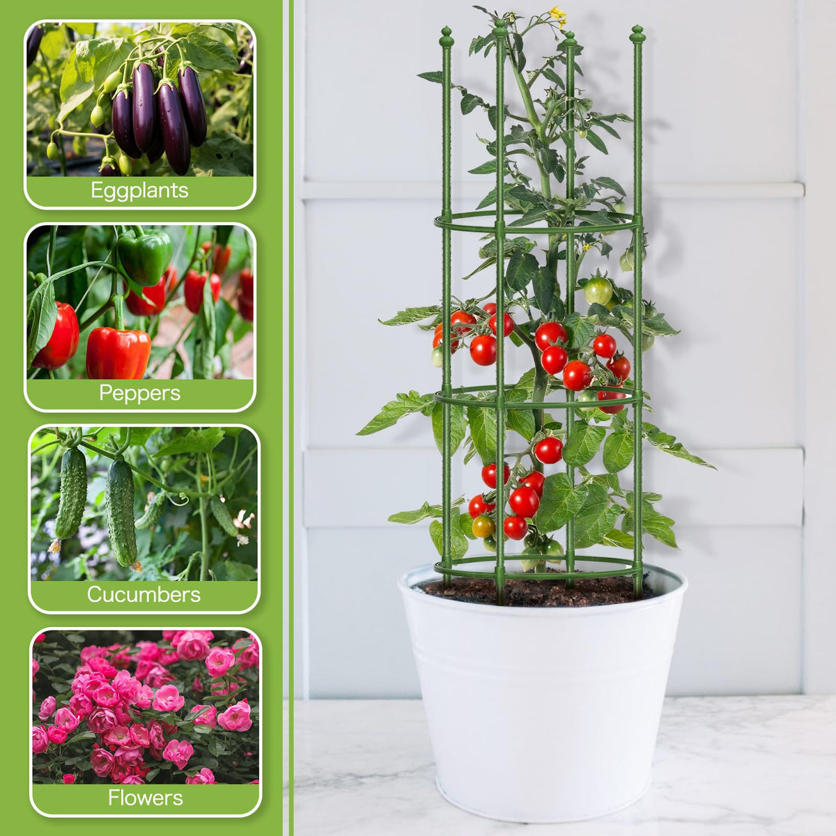 JoyHalo cage used as a bean trellis in a compact garden.