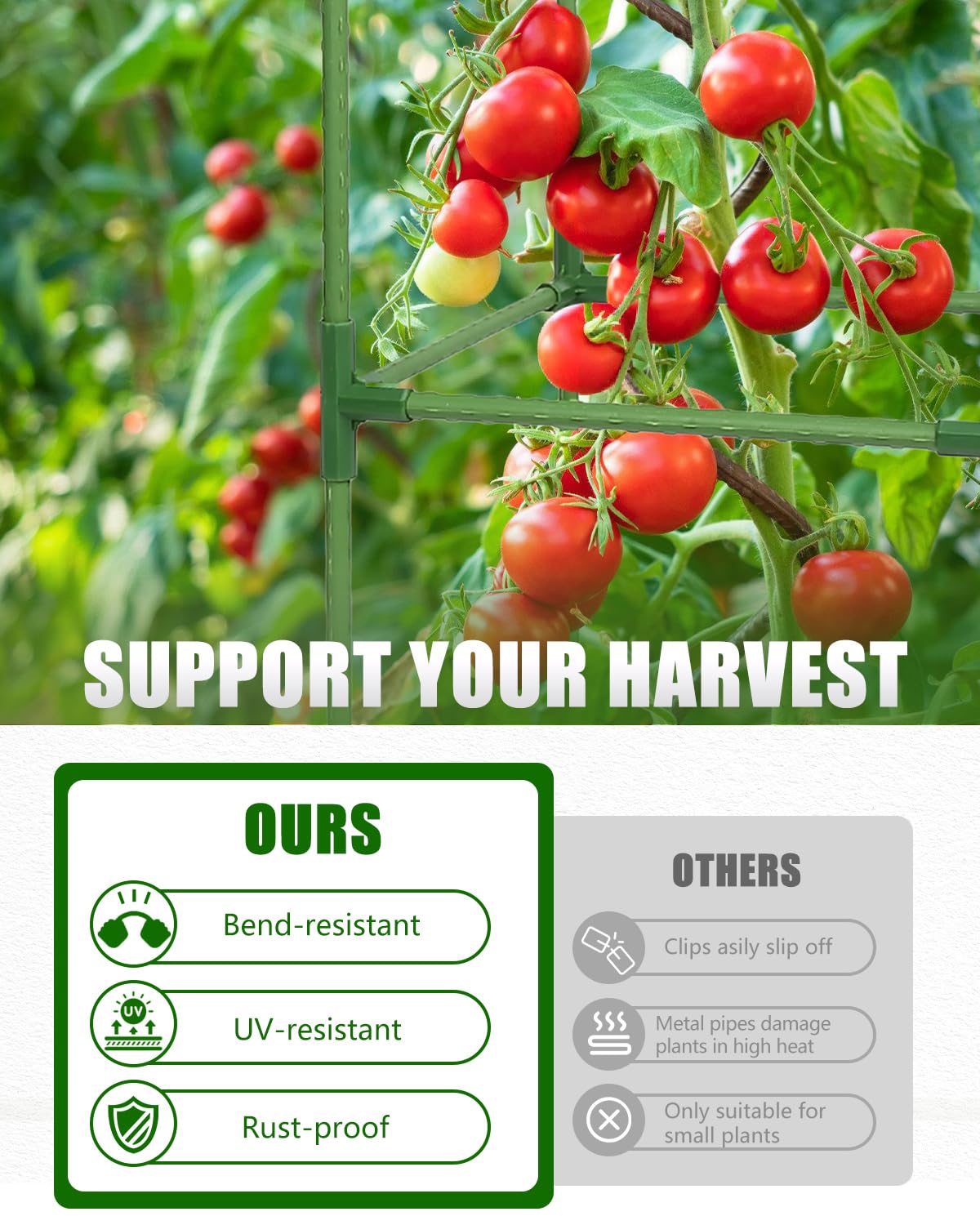 JoyHalo four-stake connection yields a solid garden trellis for vegetables.