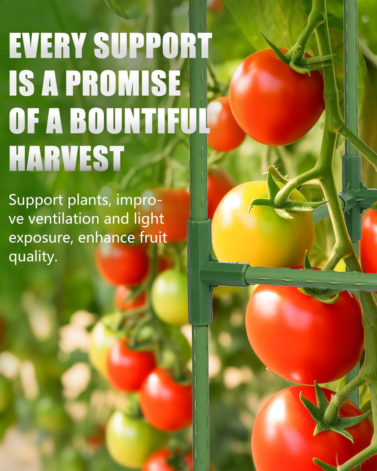 JoyHalo height-adjustable 47-inch cage adapts to plant growth.