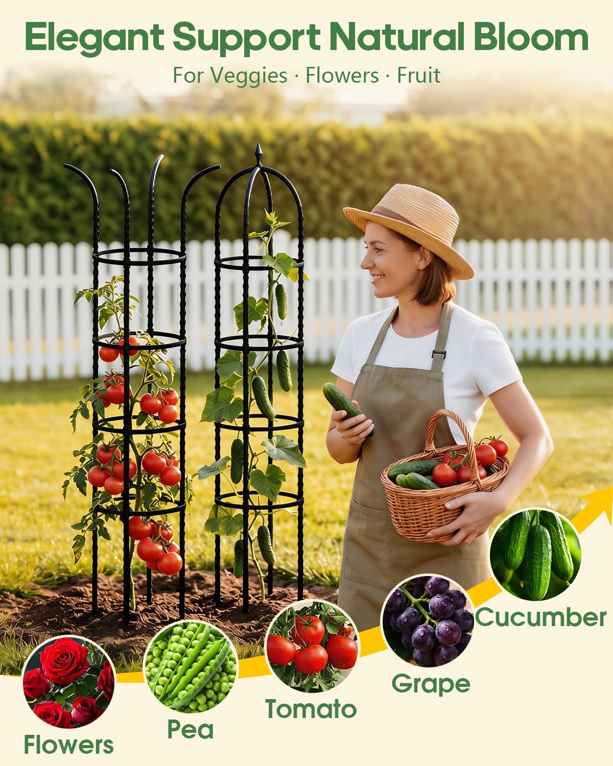 Sharp stakes of Joyhalo trellis stabilize the structure in soil