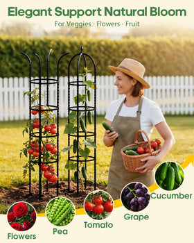 Sharp stakes of Joyhalo trellis stabilize the structure in soil