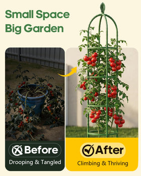 Joyhalo trellis used as tomato cage for sturdy vegetable support