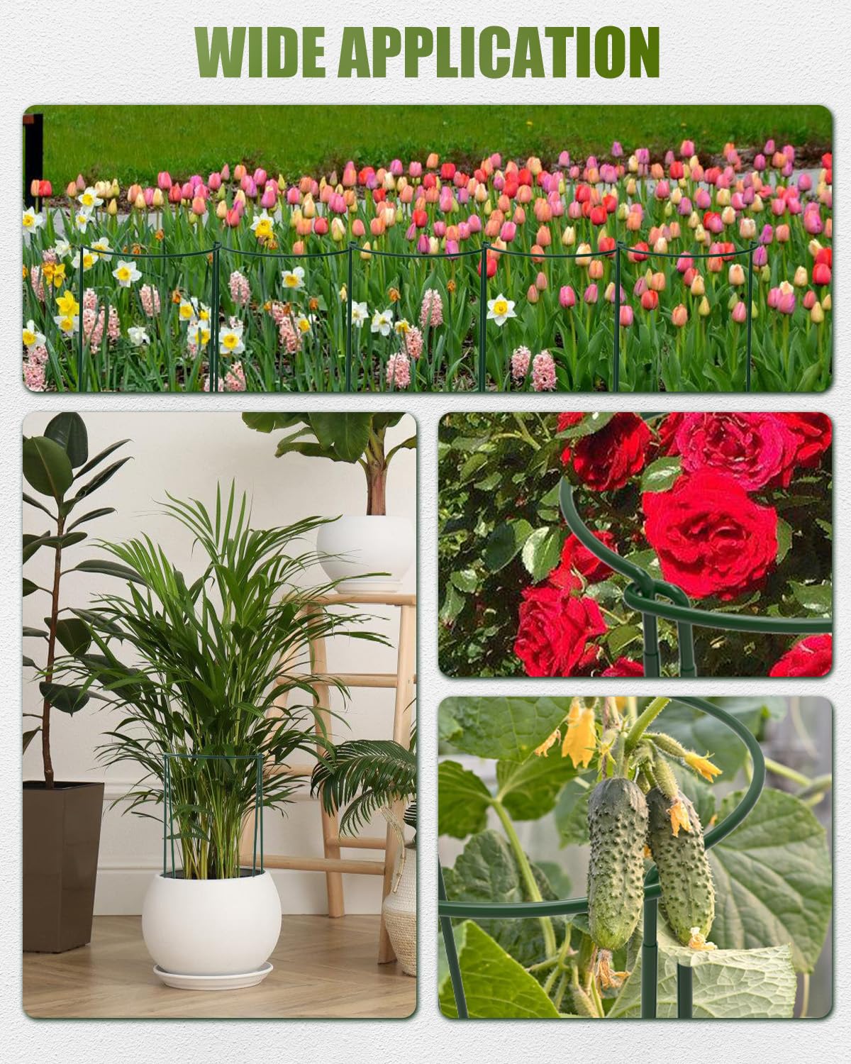 Joyhalo versatile garden solution supporting leafy plants and flowers