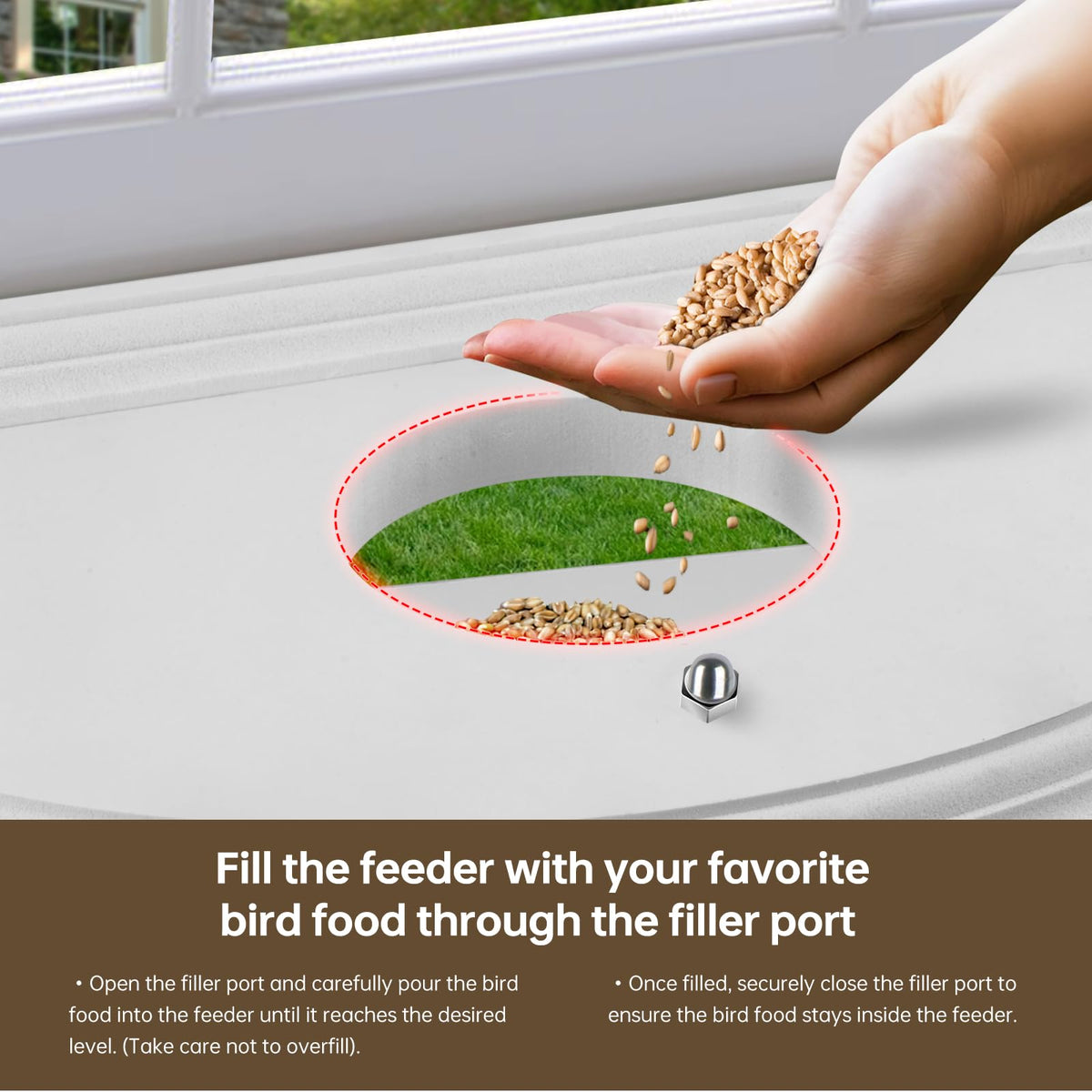 Joyseus Window Bird Feeder showing bird feeding behavior from indoor perspective