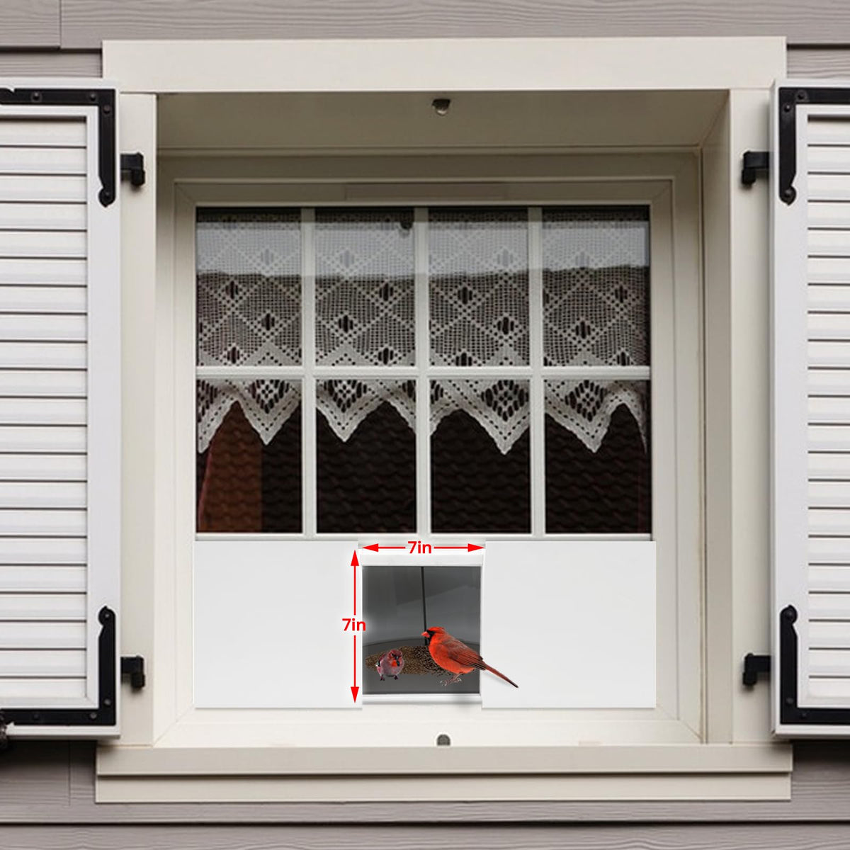 Joyseus Window Bird Feeder easy to clean and maintain for continual use