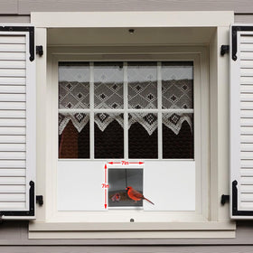 Joyseus Window Bird Feeder easy to clean and maintain for continual use