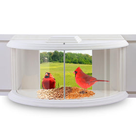 Joyseus Window Bird Feeder front view for up-close birdwatching