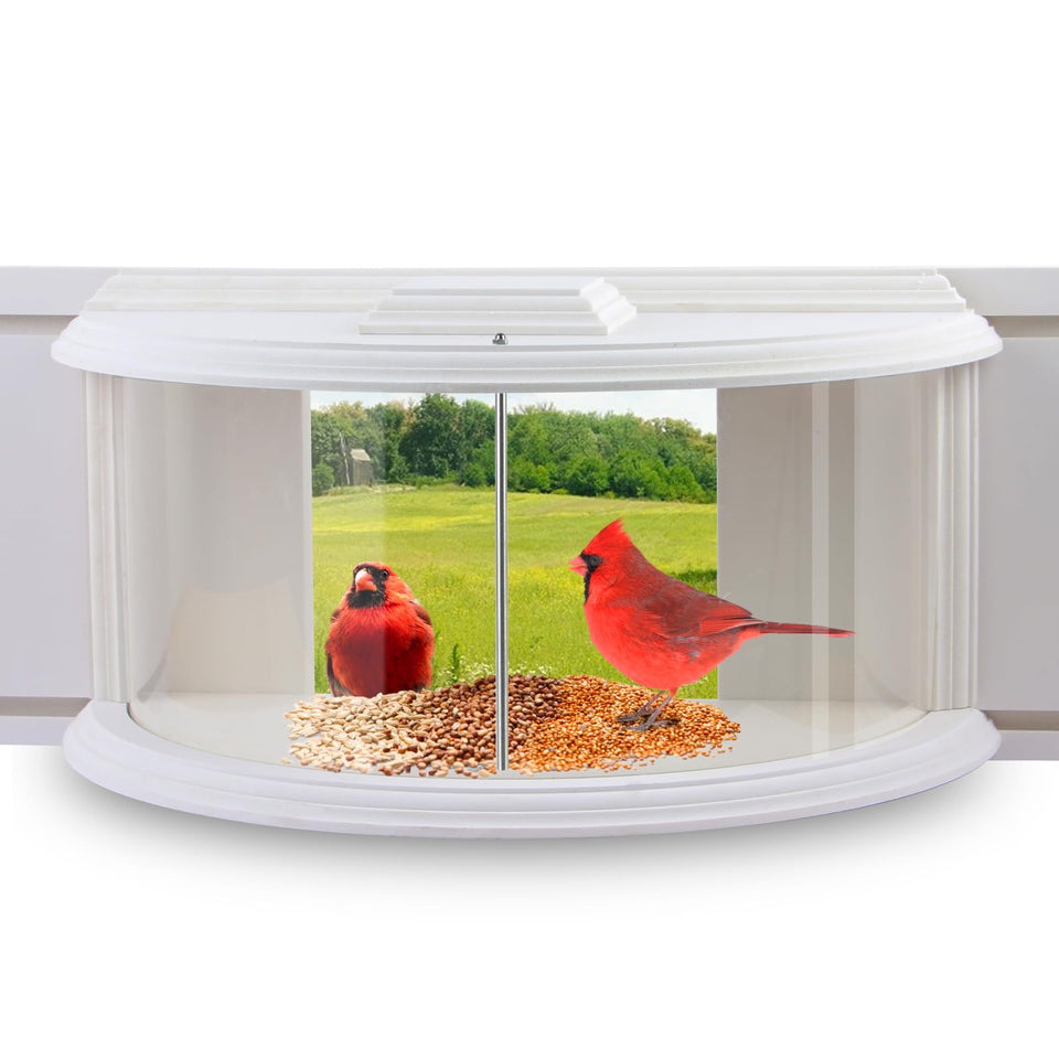 Joyseus Window Bird Feeder front view for up-close birdwatching