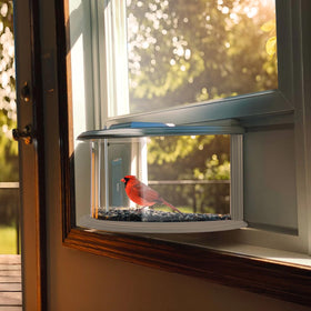 Joyseus Window Bird Feeder installed inside the window for barrier-free viewing