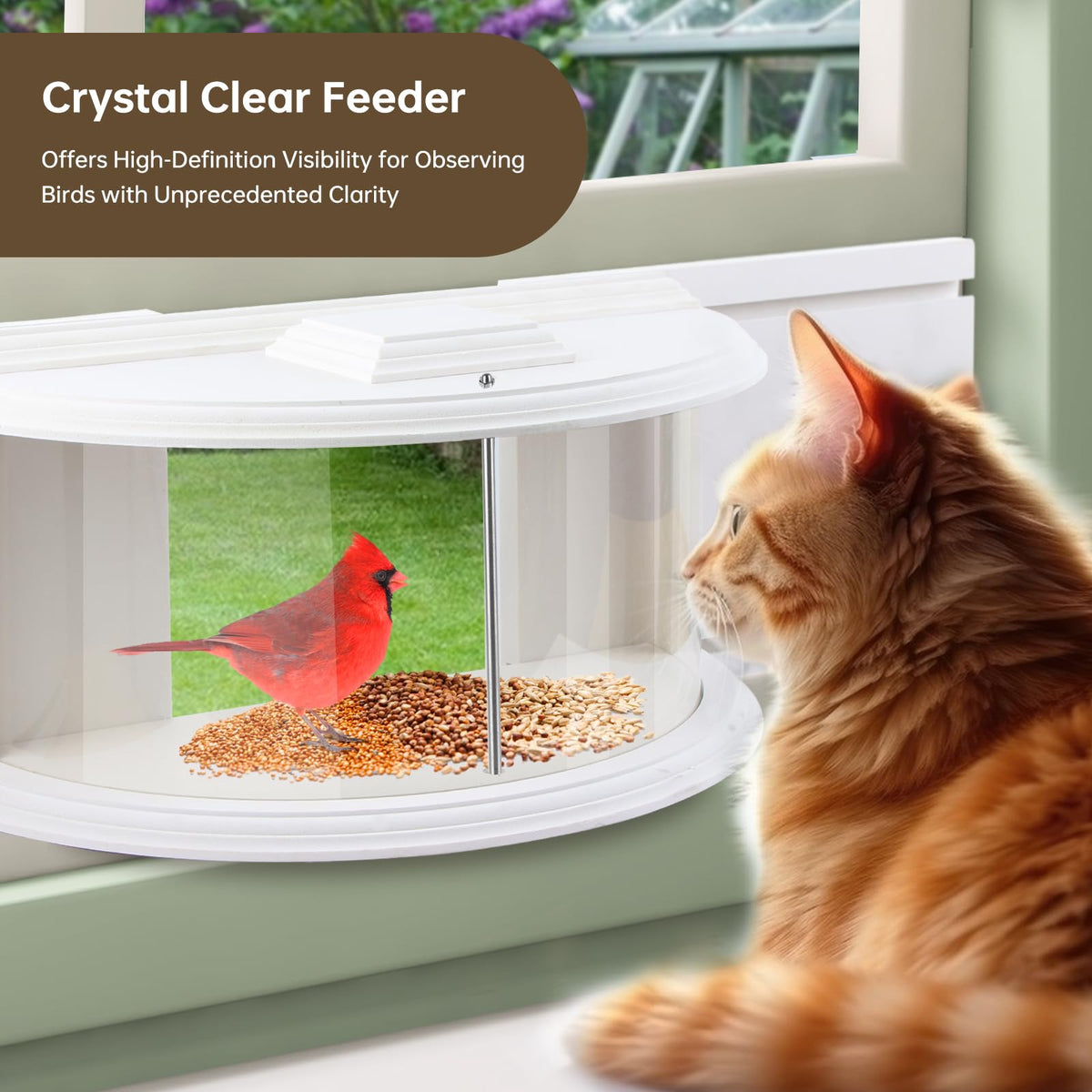 Joyseus Window Bird Feeder ideal for patio and window-side birdwatching