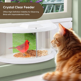 Joyseus Window Bird Feeder ideal for patio and window-side birdwatching