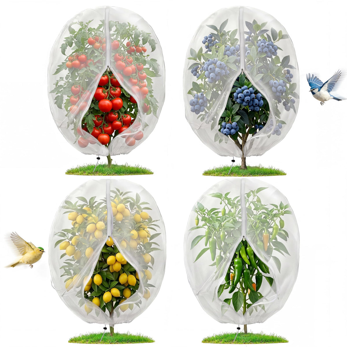 Joysuga insect-bird barrier mesh with zipper protects fruit from birds