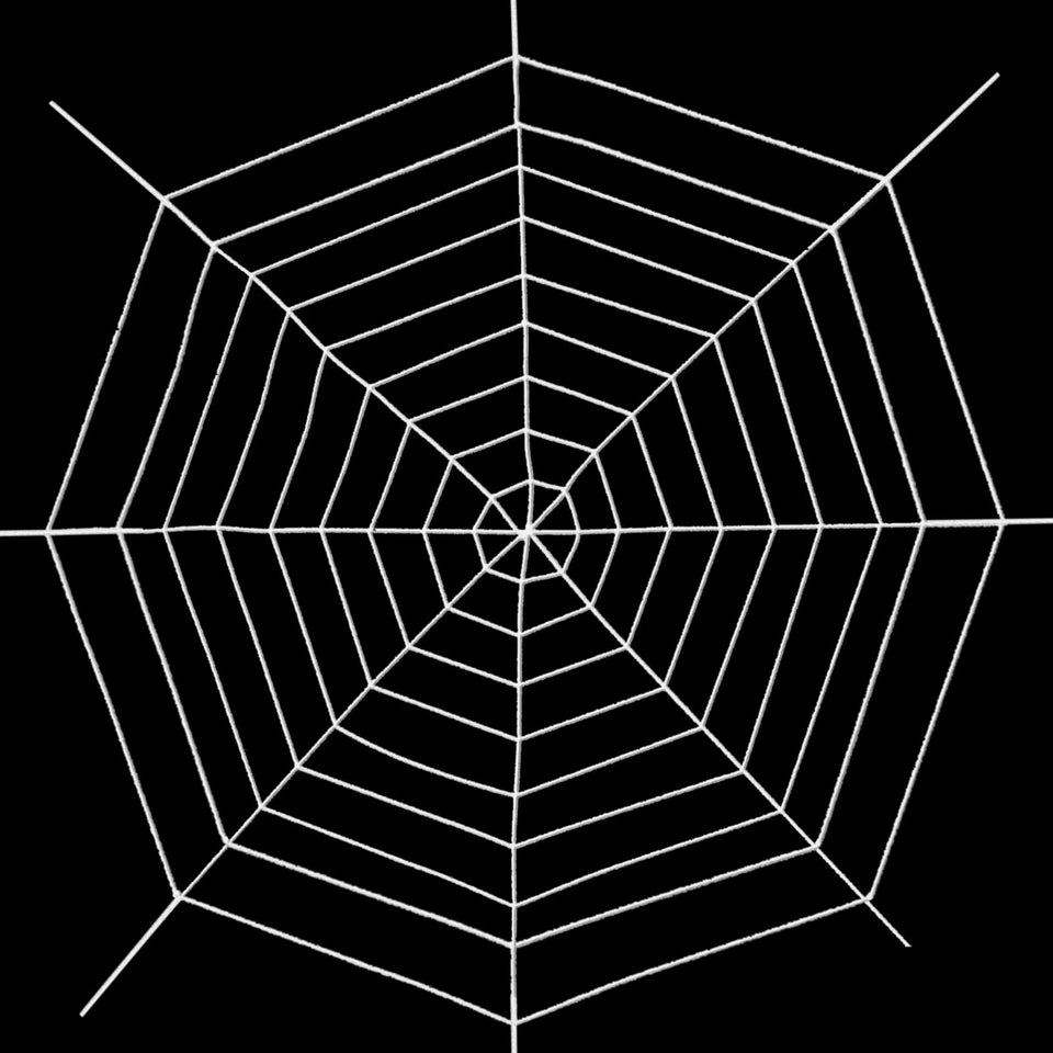 Jremreo 12ft spider web fully open, dramatic outdoor Halloween backdrop.