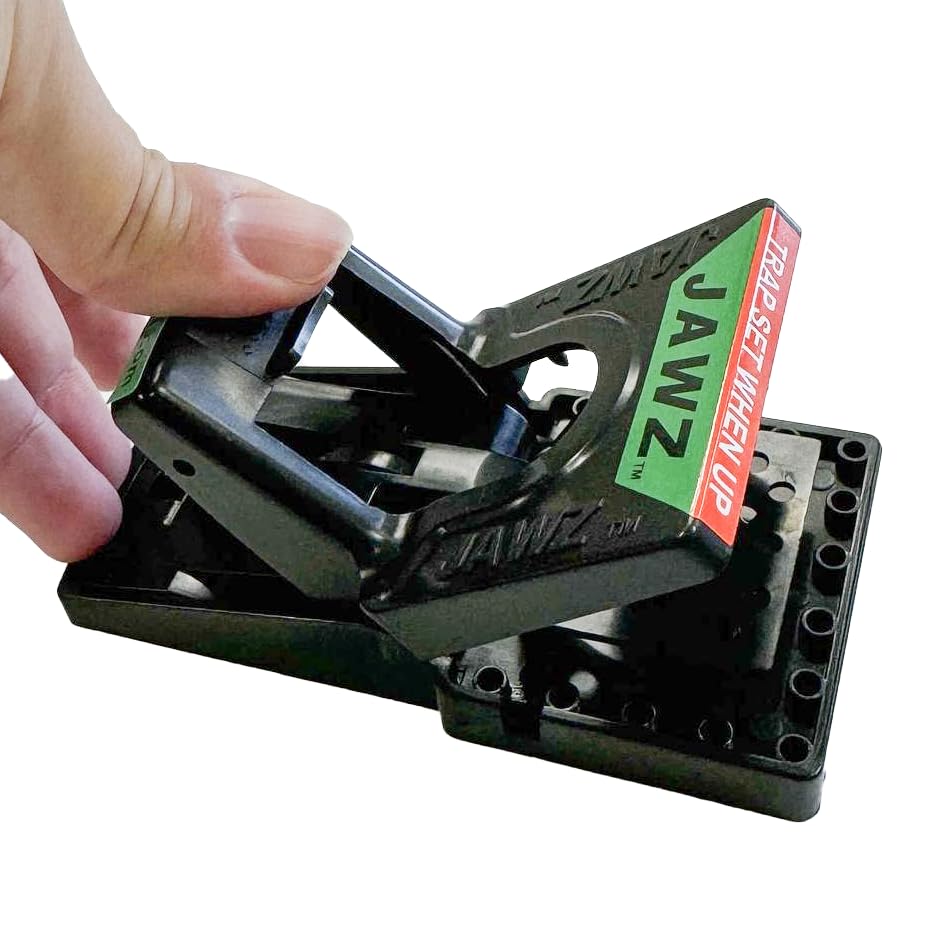 JT Eaton 409 Jawz reusable traps designed for repeated use in busy homes.