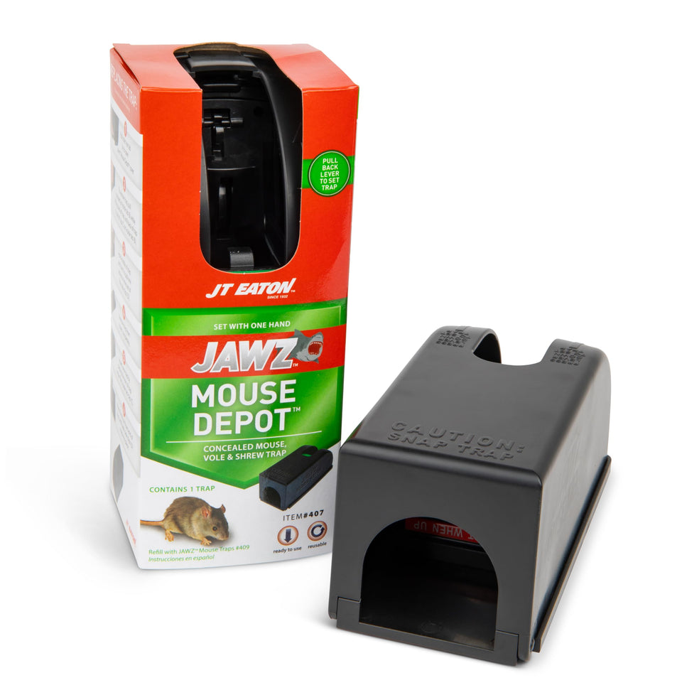 JT Eaton Jawz 407 Depot covered mouse trap front view for safe indoor use